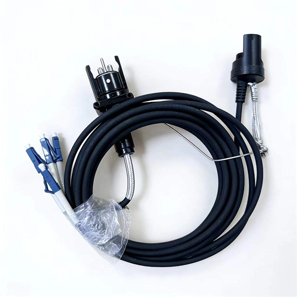 ASEAN branch optical cable price