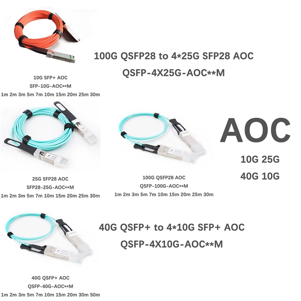Function of Optical Modules in Network Switches