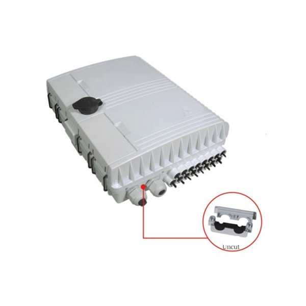 Fiber Broadband Router Setup