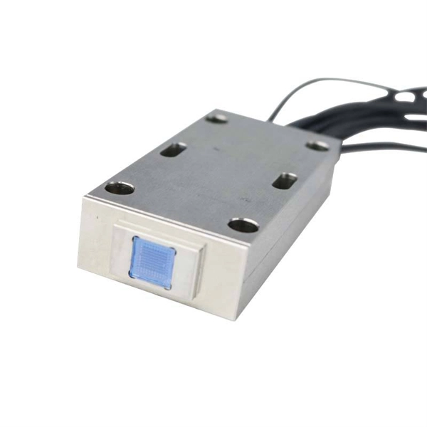 12-core fiber optic termination patch cord